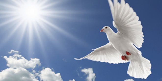 gardiens-de-la-paix-4